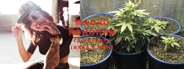 индика Россошь
