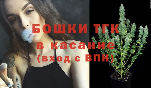 соль ск Верхний Тагил