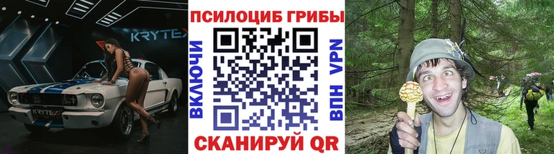Псилоцибиновые грибы MAGIC MUSHROOMS купить цена Новороссийск